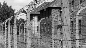 barbed-wire-electrical-fence-at-auschwitz-concentration-camp-poland-kh3rg5.jpg